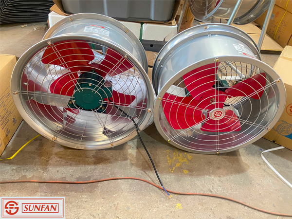 Hình ảnh thực tế