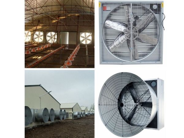 chọn quạt hút mùi chuồng trại