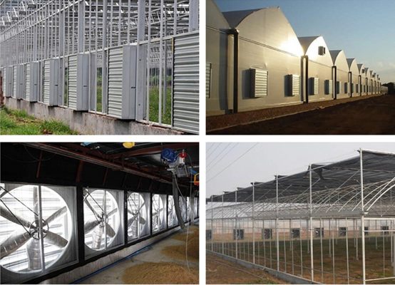 Đơn vị phân phối quạt thông gió công nghiệp Hà Nội số lượng lớn