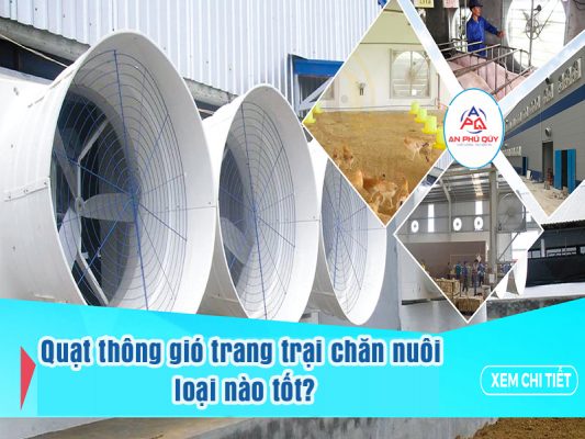 Tu-van-chon-quat-thong-gio-nha-xuong-trang-trai