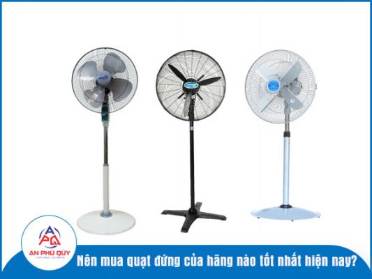 Nen-mua-quat-dung-cua-hang-nao