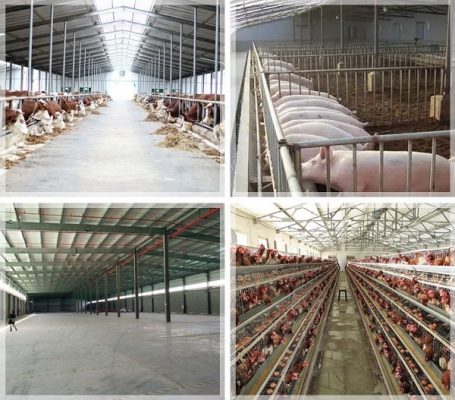 thi công quạt công nghiệp trang trại