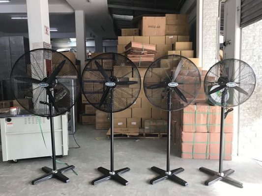 kinh nghiệm mua quạt cây