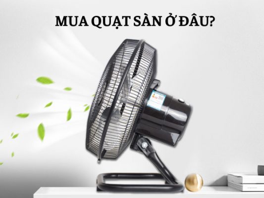 mua quạt sàn ở đâu