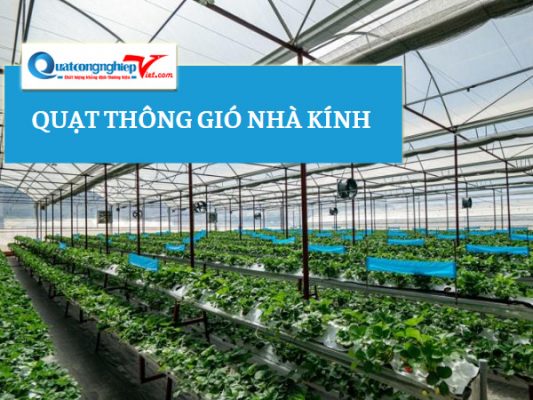 quạt thông gió nhà kính