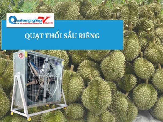 quạt thổi khô sầu riêng