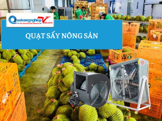 quạt sấy nông sản