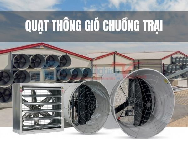 Quạt thông gió chuồng trại: Bí quyết giảm nhiệt, khử mùi, tăng năng suất đàn vật nuôi